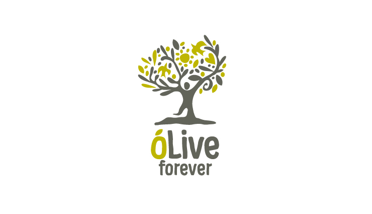 OLIVE FOREVER 橄欖油品牌設計