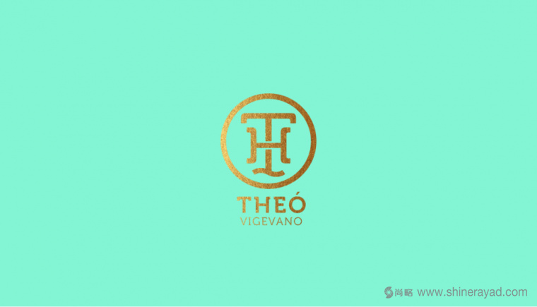 上海LOGO設計公司LOGO設計欣賞——THEO 女鞋女包LOGO設計1