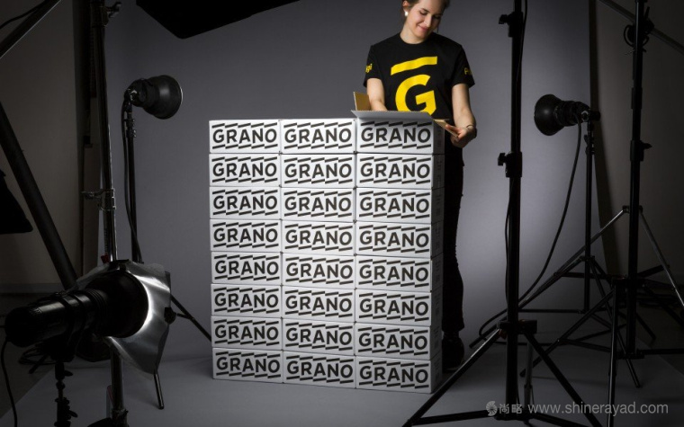Grano 數(shù)字印刷公司IT科技品牌LOGO設(shè)計-上海LOGO設(shè)計公司設(shè)計鑒賞3