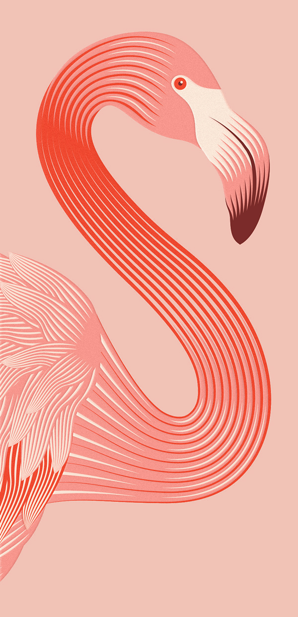上海包裝設計公司設計欣賞：火烈鳥玫瑰酒包裝設計6