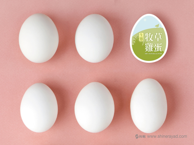 福壽生態(tài)牧場(chǎng)雞蛋包裝設(shè)計(jì)-上海包裝設(shè)計(jì)公司3