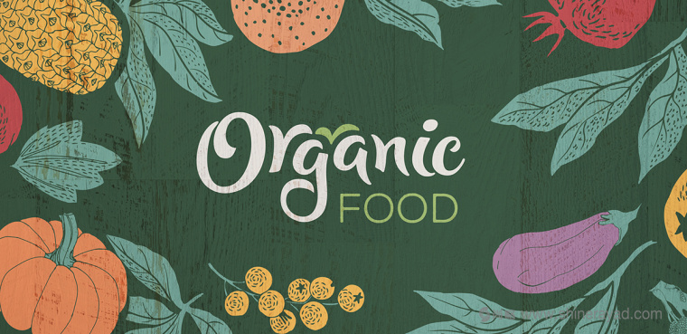 二維插畫風格 Organic Food 有機食品蔬菜水果包裝設計-上海農產品包裝設計公司1