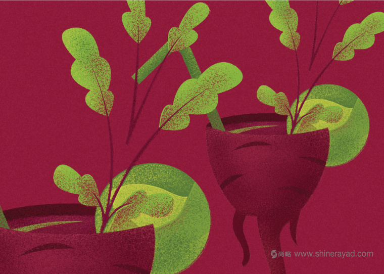 Borshch 咖啡館lVI形象設(shè)計(jì)蔬菜植物插畫設(shè)計(jì)-上海VI設(shè)計(jì)公司-上海餐飲品牌設(shè)計(jì)公司