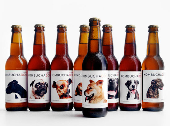 Kombucha Dog 狗表情啤酒包裝設計-9個出奇制勝的瘋狂創意包裝設計欣賞-上海包裝設計公司