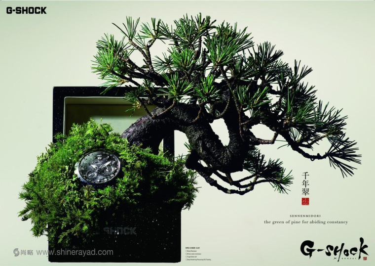 G-shock 手表“松樹長青”盆景篇平面廣告創意設計-上海設計公司