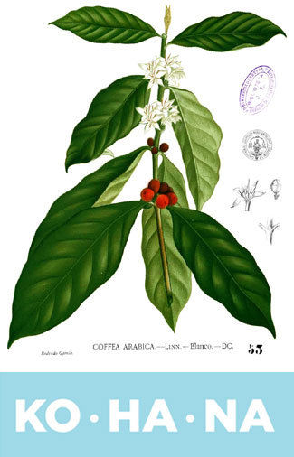 KOHANA咖啡包裝花朵插畫設計-上海包裝設計公司