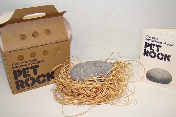 the Pet Rock 創意石頭包裝設計作品-上海包裝設計公司 the Pet Rock 創意石頭包裝設計作品-上海包裝設計公司