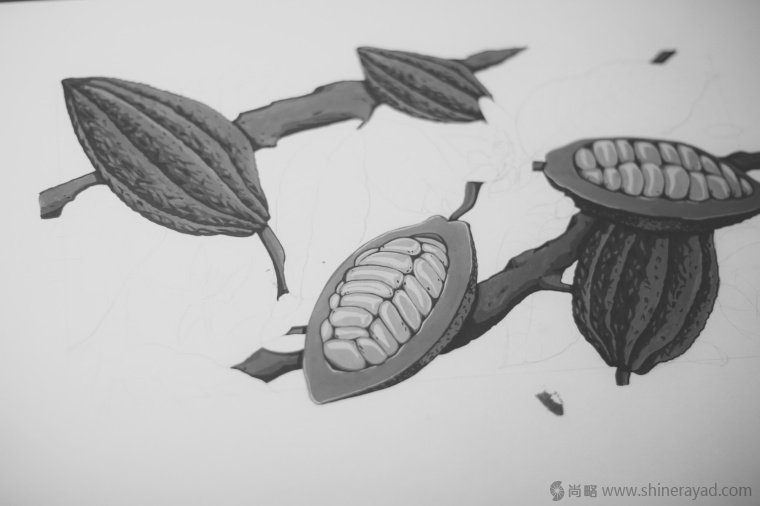 國外手繪植物花卉插畫風(fēng)格洋酒包裝設(shè)計(jì)-curio杜松子酒和伏特加酒包裝設(shè)計(jì)4 國外手繪植物花卉插畫風(fēng)格洋酒包裝設(shè)計(jì)-curio杜松子酒和伏特加酒包裝設(shè)計(jì)4