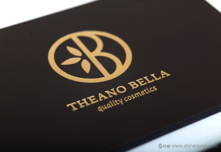 Theano Bella 美容化妝品logo設(shè)計-上海logo設(shè)計公司12