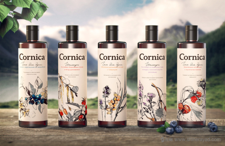 植物素描與水彩插畫CORNICA洗發水沐浴露清潔衛生與天然化妝品包裝設計-上海包裝設計公司9