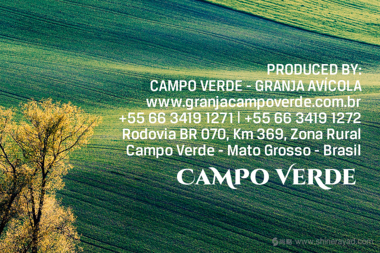 Campo Verde 雞蛋農場logo設計VI設計-上海logo設計公司4