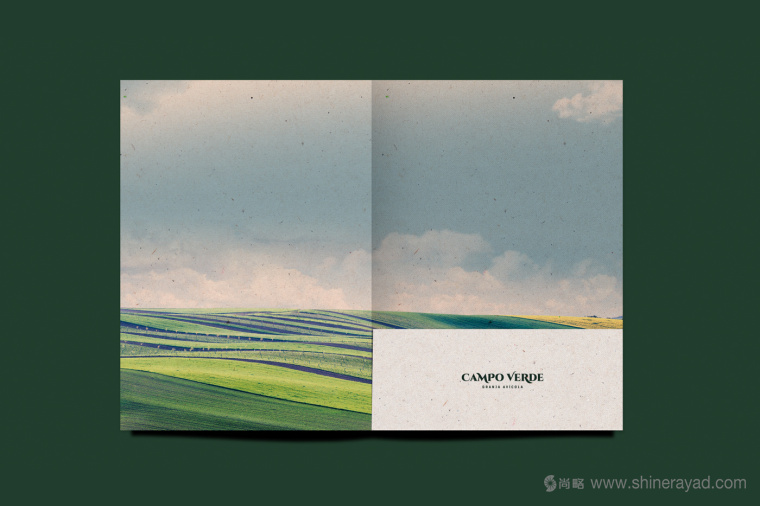 Campo Verde 雞蛋農場logo設計VI設計-上海logo設計公司8
