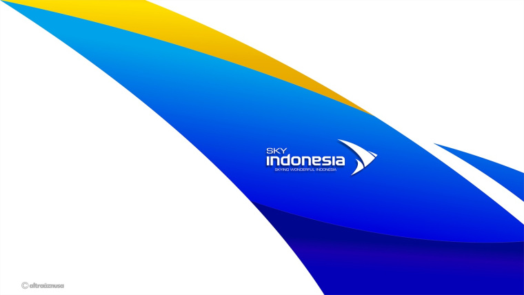 SKY INDONESIA航空公司logo設計：代表印尼航空安全\精準\效率文化\友好的箭鳥logo