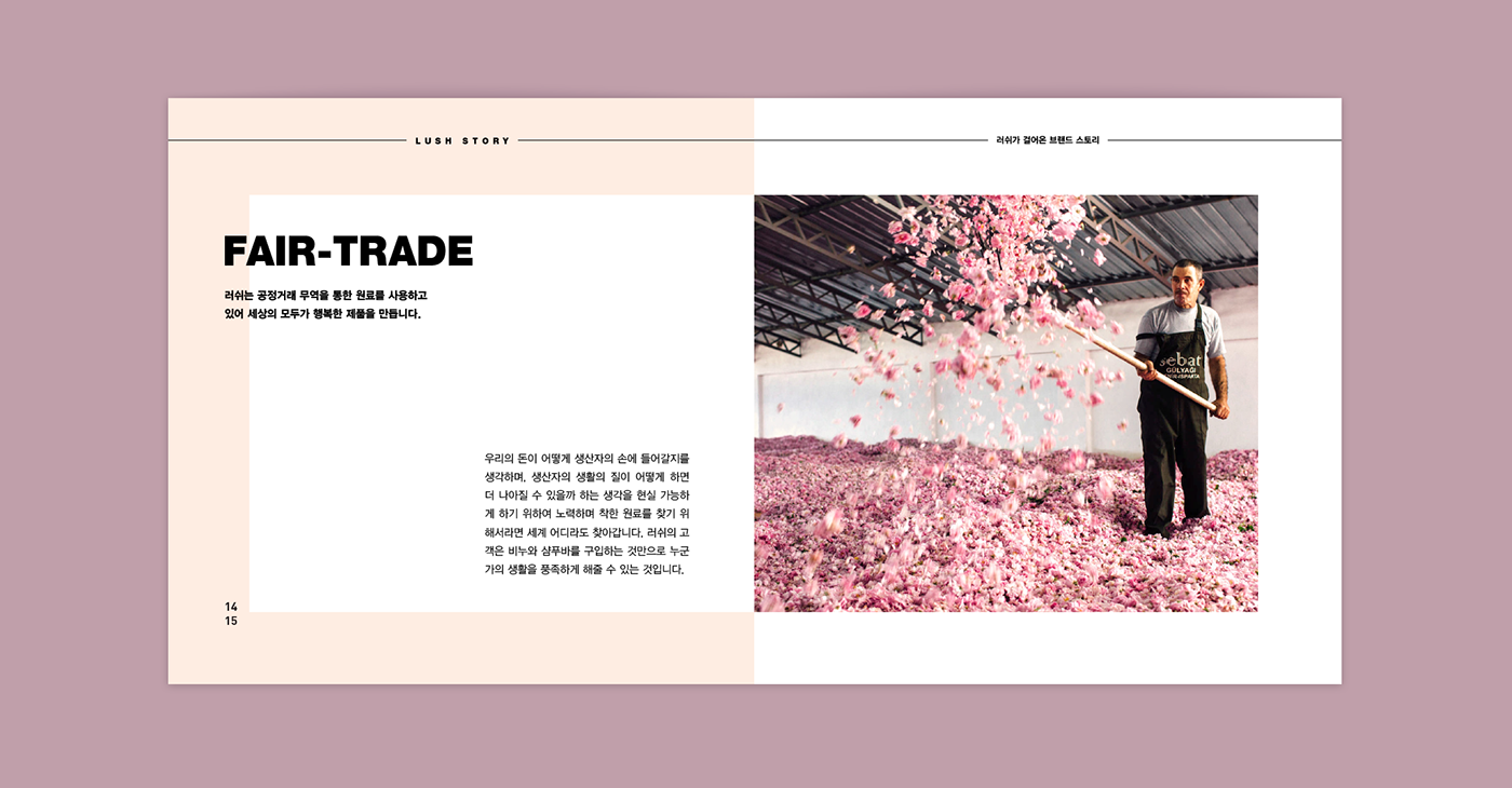 “方形”元素LUSH 糕點罐頭美食學(xué)校畫冊設(shè)計－上海畫冊設(shè)計公司