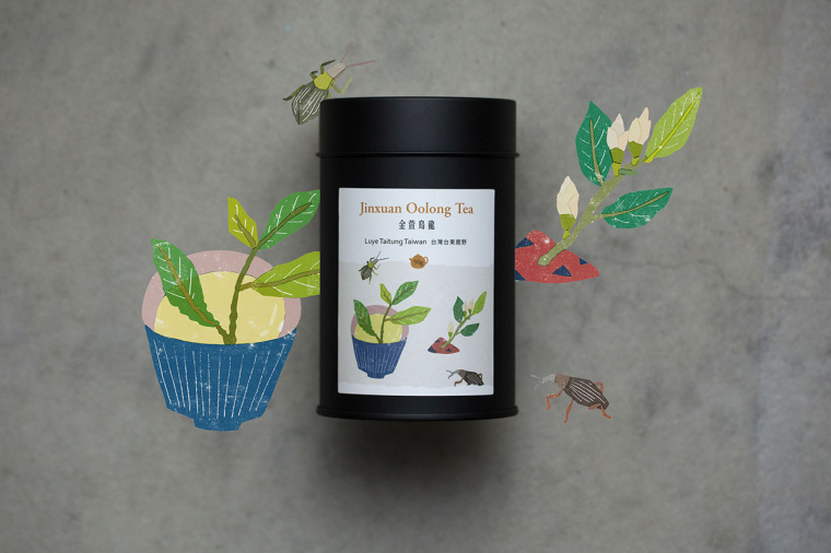 臺灣芳香茶茶葉包裝設(shè)計”臺灣自然植物插畫篇“