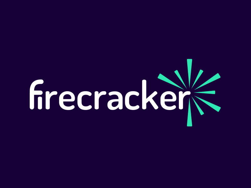 Firecracker 爆炸Logo特效-上海logo設計公司