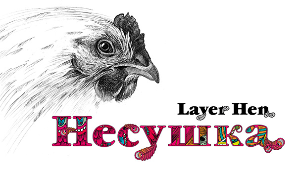 Layer Hen 雞蛋盒包裝設計“母雞插畫篇”-上海農產品包裝設計公司