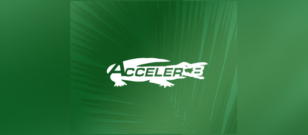 Acceler8生態系統標志設計-上海標志設計公司