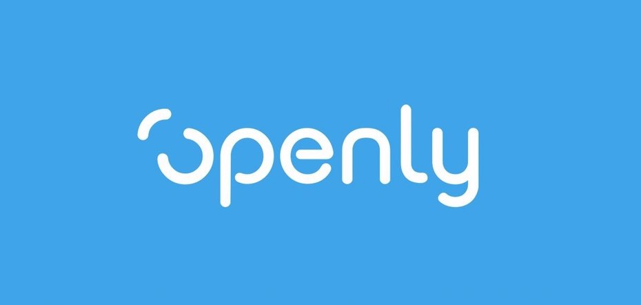 Openly企業標志-科技企業logo設計-上海Logo設計公司-上海品牌設計公司