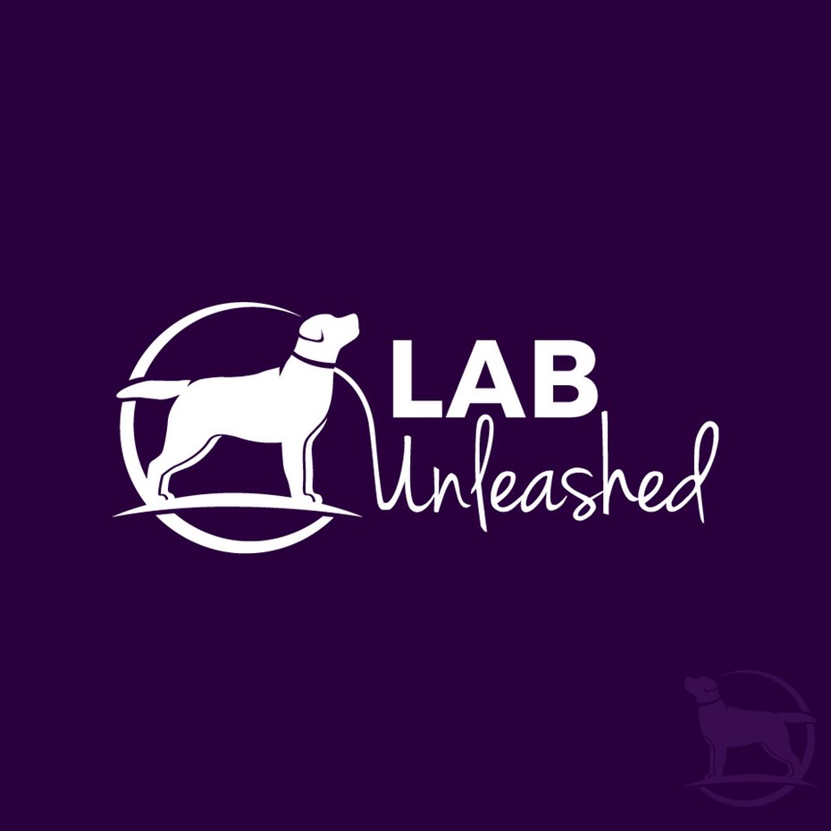 LAB標志-科技企業logo設計-上海Logo設計公司-上海品牌設計公司