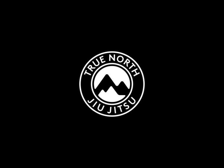 35個創(chuàng)意大山logo設計靈感的集合-尚略logo設計公司