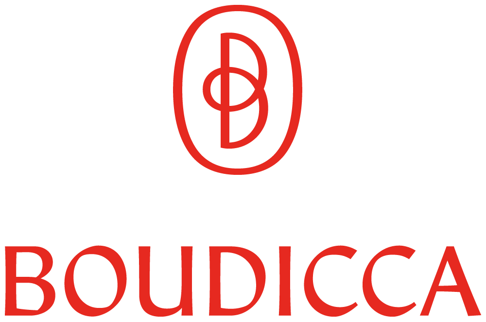 Boudicca 公司股權投資治理顧問公司新標識logo設計-上海logo設計公司