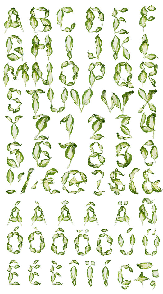 葉子創(chuàng)意英文字體設(shè)計-上海品牌設(shè)計公司