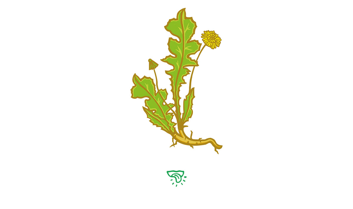 Korzen 健康果汁包裝設(shè)計(jì)插畫設(shè)計(jì)欣賞-上海包裝設(shè)計(jì)公司