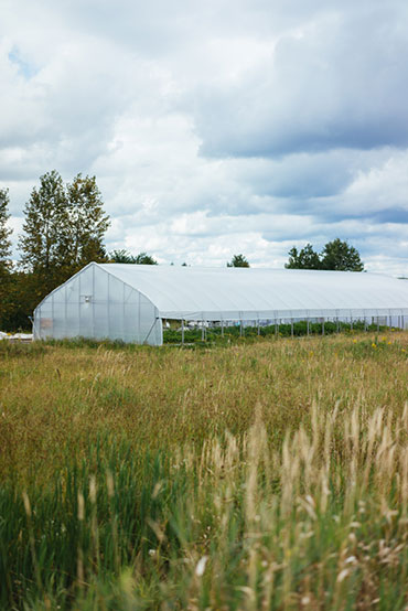 Ferme 地熱溫室農場農業品牌視覺形象設計-上海品牌設計公司
