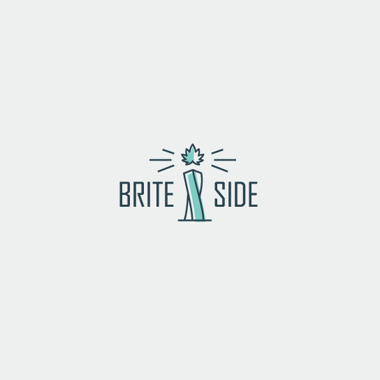 Brite Side的組合標志設計-上海Logo設計公司logo設計最終指南