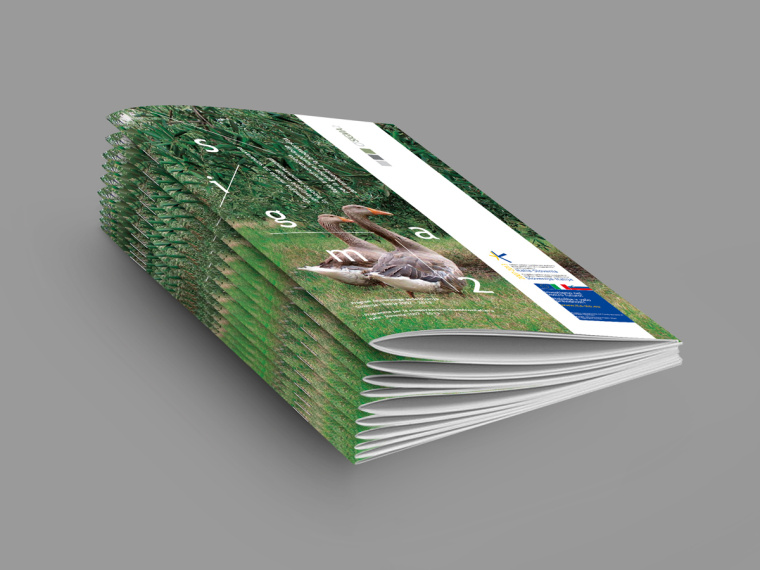SIGMA2環境與生物多樣性環保宣傳冊設計-上海畫冊設計公司-尚略廣告