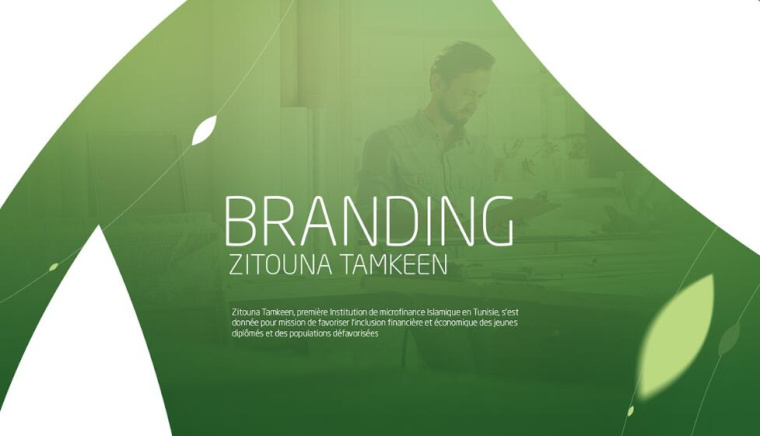 Zitouna橄欖油生產企業logo設計vi設計，橄欖樹、蠟燭、人與幾何圖形的結合