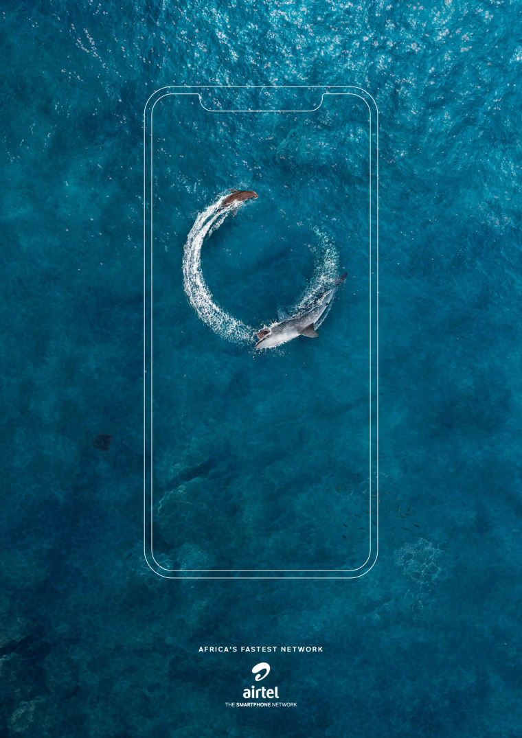 全球領先電信公司Airtel創意平面廣告設計-鯊魚和海豹篇