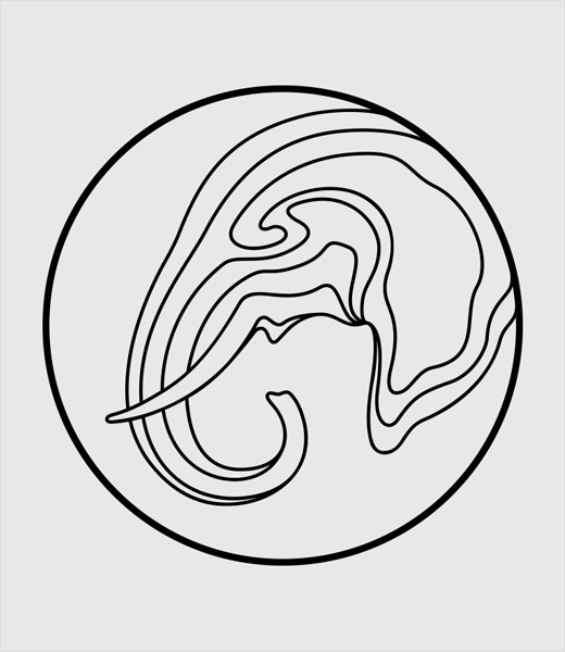LDF大象動物保護基金會標志設計