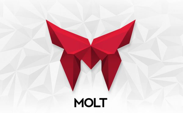 MOLT蛻變企業VI形象設計-標識logo設計