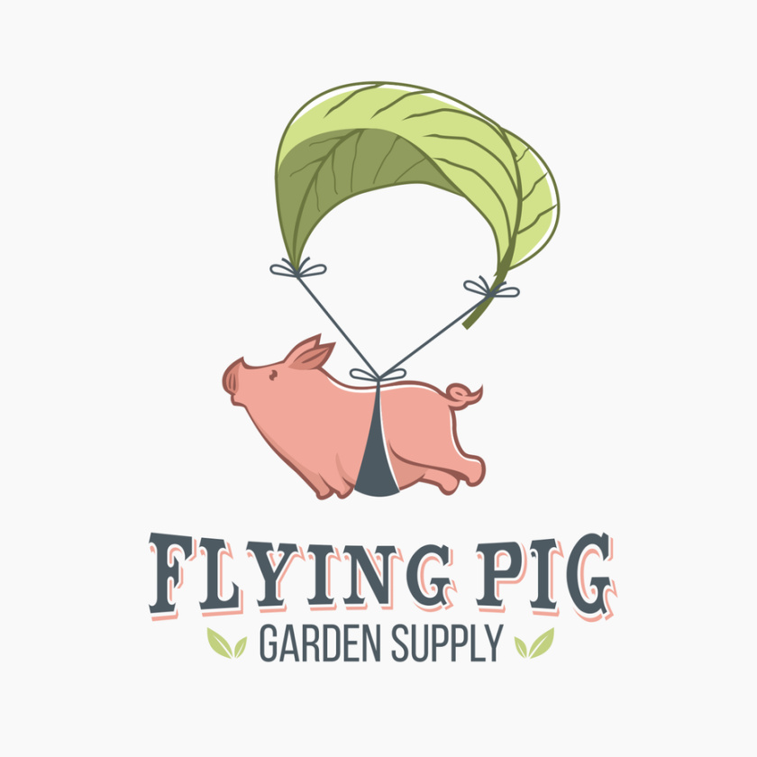 可愛動物logo設計-飛豬標志