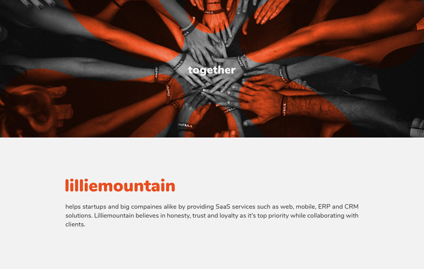 Lilliee 互聯網IT科技公司品牌形象設計-logo/vi設計