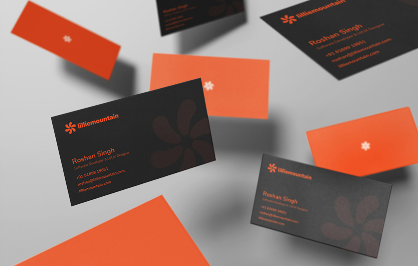 Lilliee 互聯網IT科技公司品牌形象設計-logo/vi設計