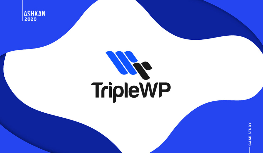 TripleWP wordpress模板網站科技公司logo設計與vi設計，科技藍色風格