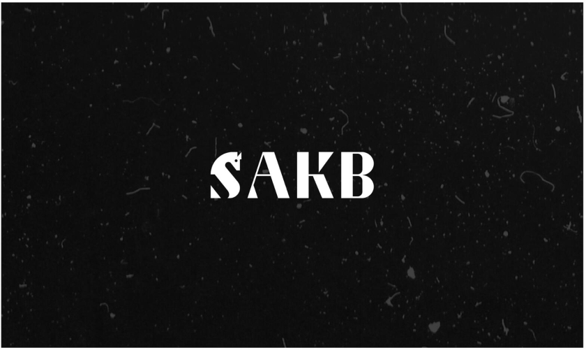 SAKB可再生能源建筑公司企業(yè)vi形象設(shè)計(jì)—S+國(guó)際象棋馬logo設(shè)計(jì)與棋盤輔助圖形設(shè)計(jì)
