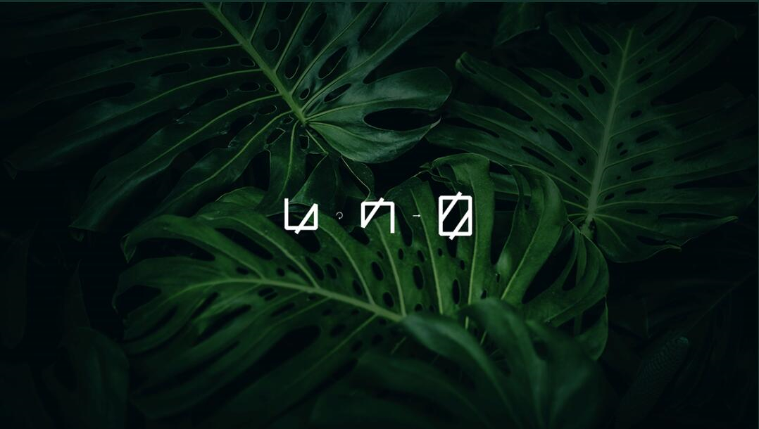 Leo Accioly 高質量攝影公司品牌識別設計logo設計