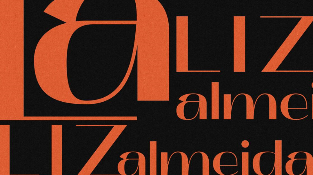 個性與時尚的Liz Almeida服裝品牌vi設計,以“雜亂而有序排列的線元素為輔助識別 個性與時尚的Liz Almeida服裝品牌vi設計,以“雜亂而有序排列的線元素為輔助識別