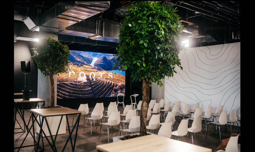 Roots 烏克蘭進口葡萄酒公司vi設計，梯田線條元素