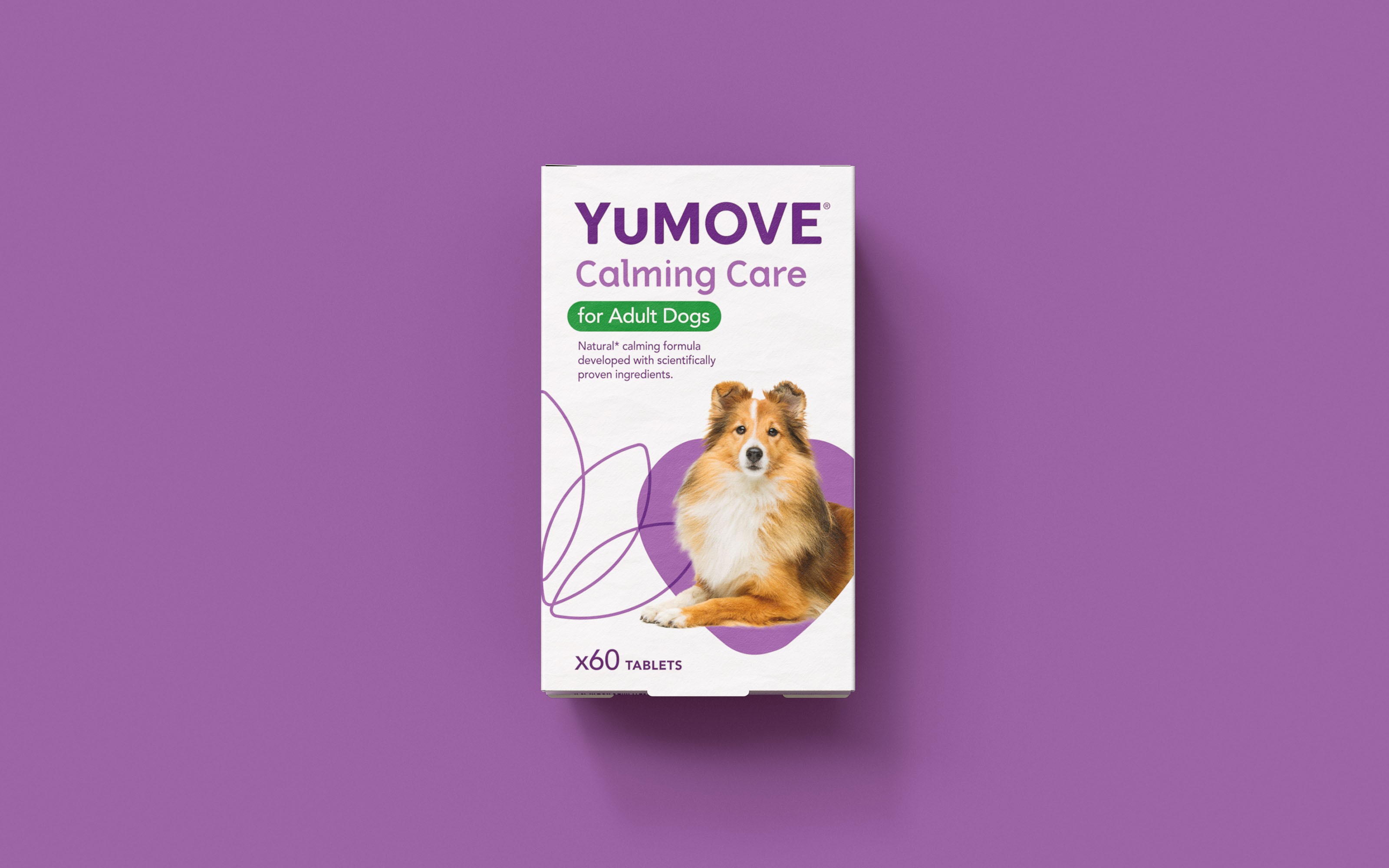 YuMOVE寵物護理品牌戰略策劃與系列產品包裝形象更新設計‘色塊+線條“