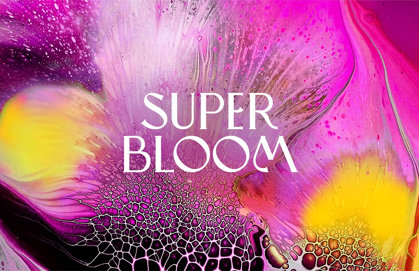Superbloom 純植物素化妝品包裝設計，漸變水彩綻放女性美麗