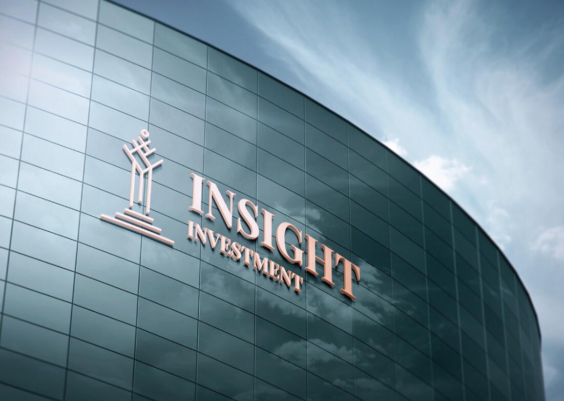 Insight 金融投資公司logo設計vis設計，基石與增長線條元素