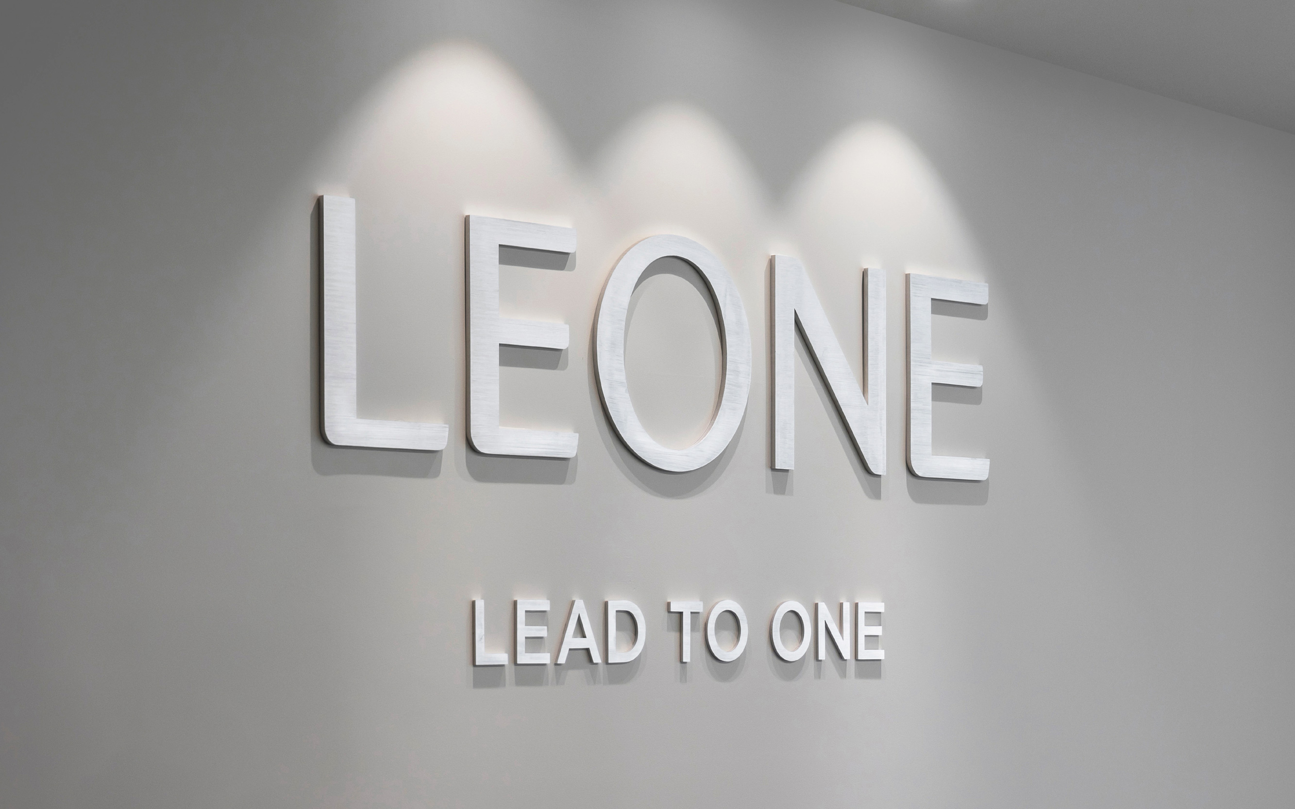 LEONE利昂稅務規劃咨詢集團B2B企業logo&vi形象設計塑造，三葉旋轉圖案