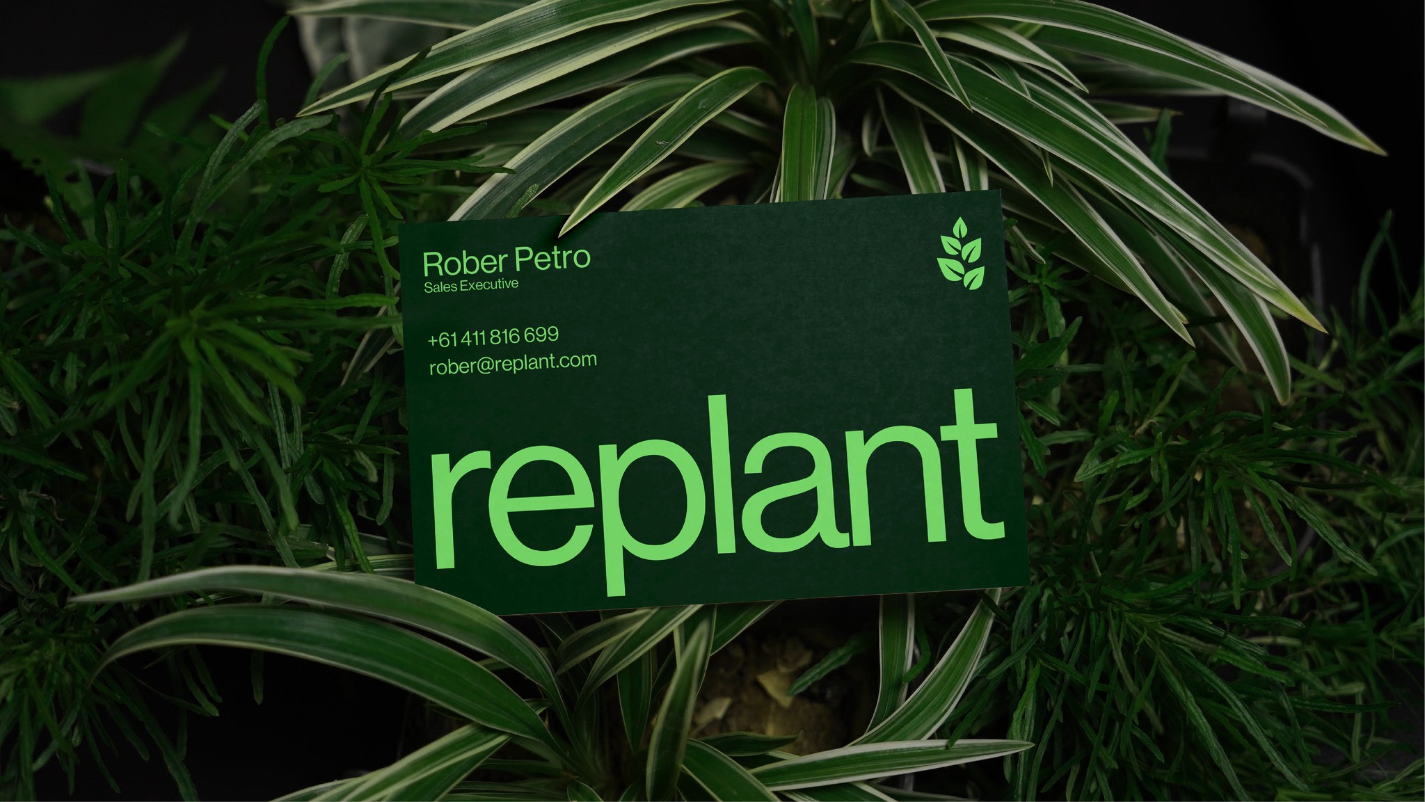 Replant 有機(jī)再生農(nóng)業(yè)技術(shù)品牌形象logo設(shè)計(jì)vi設(shè)計(jì)“自然葉子”