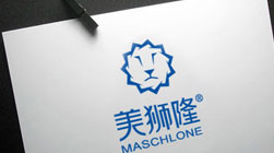 美獅隆門(mén)窗品牌全案策劃設(shè)計(jì)