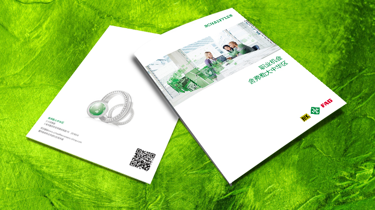 舍弗勒集團招聘宣傳冊設計-上海工業品畫冊設計公司